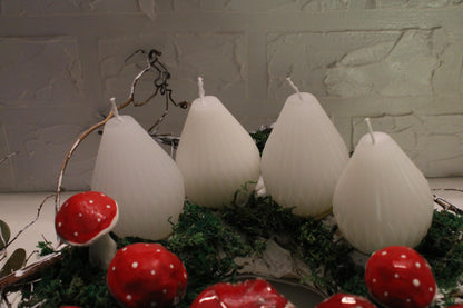 Božićna Zvijezda & šumski Advent